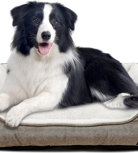 Durable Dog Bed Machine Washable Medium Dog Bed Square, Comfortable Puppy Dog Bed Medium