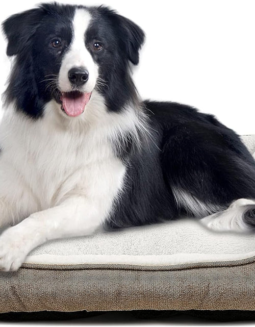 Load image into Gallery viewer, Durable Dog Bed Machine Washable Medium Dog Bed Square, Comfortable Puppy Dog Bed Medium
