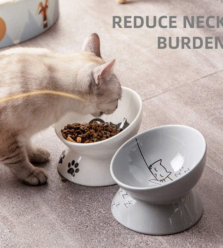 Raised Cat Bowl for Dry Wet Cat Food, Ceramic Elevated Pet Bowl Cat Dish, Protect Cat'S Spine, Stress Free, Slanted Design for Cat Easy Eating, 10 Oz, Dishwasher Safe (Grey)