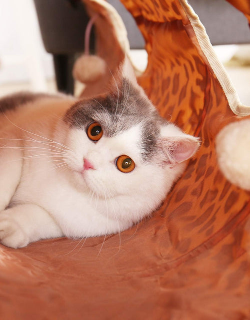 Load image into Gallery viewer, Cat Toys Collapsible Tunnel Dog Tube for Fat Cat,Rabbits,Dogs Length 51&quot; Diameter 12&quot;
