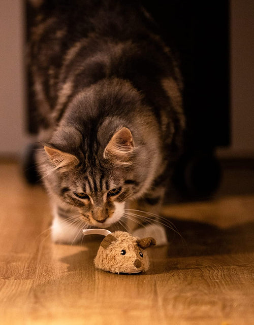 Load image into Gallery viewer, Cat Toys for Indoor Cats, Interactive Cat Toys for Cat Exercise, Automatic Moving Kitten Toys with Real Mouse Sound
